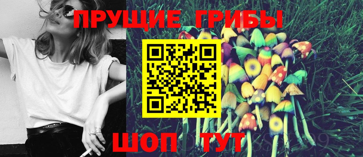 Галлюциногенные грибы мицелий  Вход с VPN  Шадринск 
