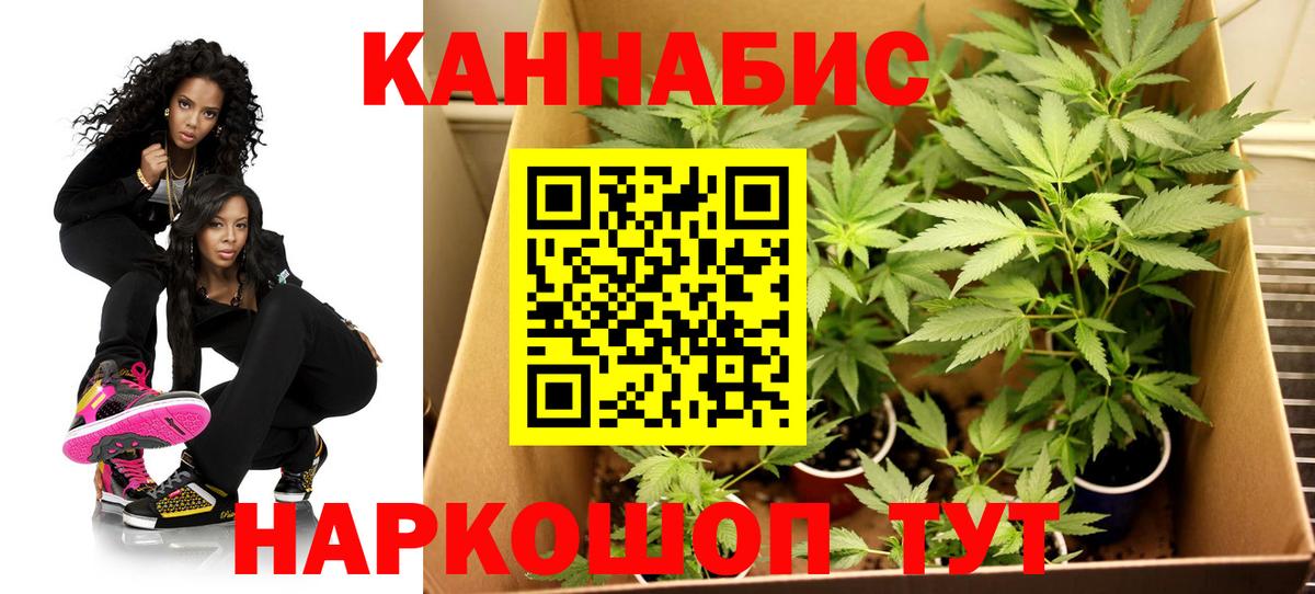 Каннабис гибрид Шадринск