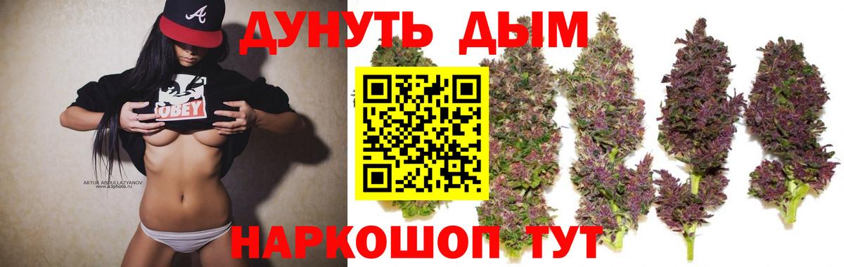 Бошки марихуана гибрид  Вход с VPN  Шадринск  Бошки Шишки MAZAR  Бошки марихуана Bruce Banner 